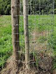 Verger Olne 009 08-08-2021 07