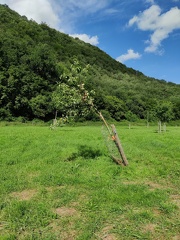 Verger Olne 014 08-08-2021 02