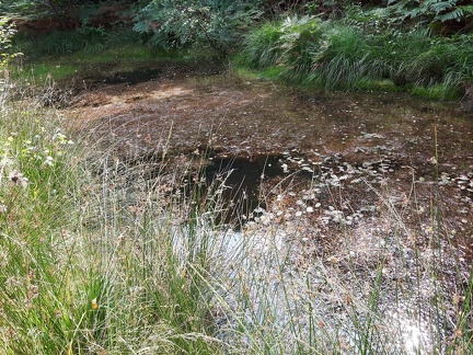 Propriete de-Potter 18-08-2016 02