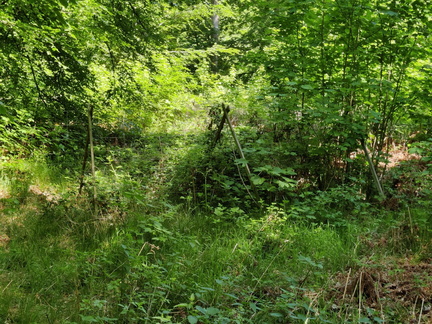 cloture-suspendue 03-06-2023 01