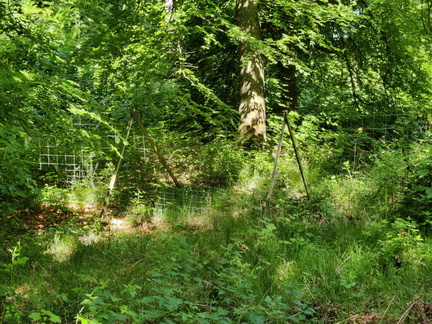 cloture-suspendue 03-06-2023 02