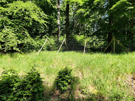 cloture-suspendue 03-06-2023 03