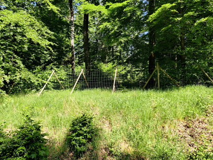 cloture-suspendue 03-06-2023 04