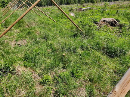 cloture-suspendue 03-06-2023 05