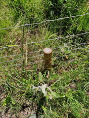 cloture-suspendue 03-06-2023 07