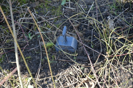 LutteCampagnols 2019-03-08 38