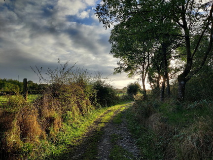 Paysage Sprimont Warnoumont 01-10-2024 01