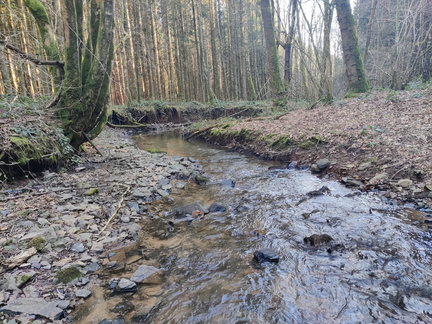 Rau Fond-du-Moulin 06-03-2025