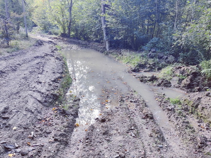 Ornieres Bois-de-Warnoumont 15-09-2025 01